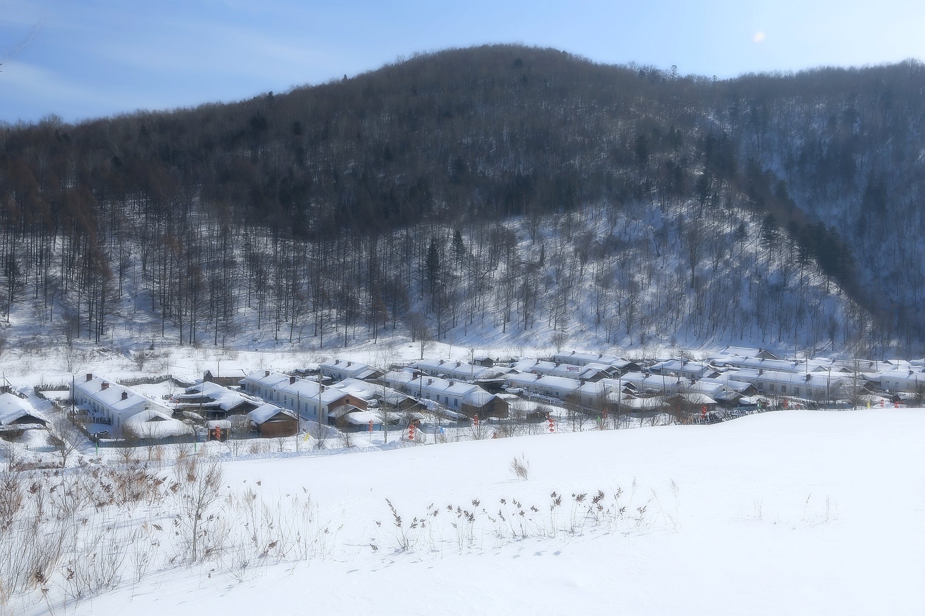 【威虎山雪村】出行攻略