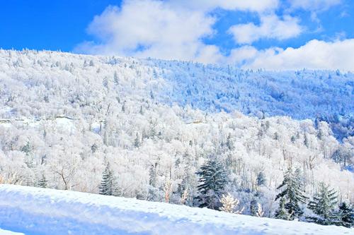 威虎山景区助推《林海雪原》