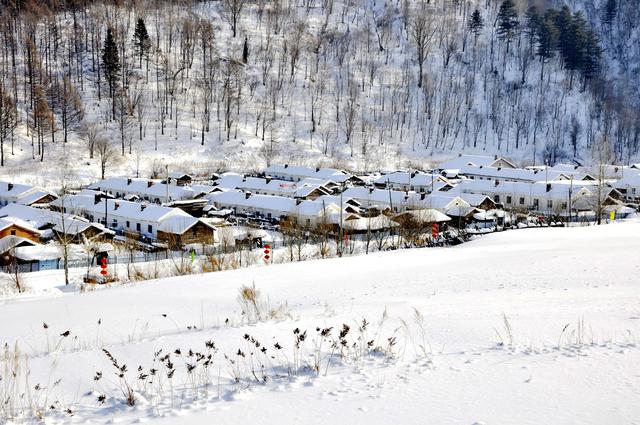 穿林海赏美景，就来威虎山雪村