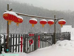 柴河林区启动“百万青少年上冰雪”活动