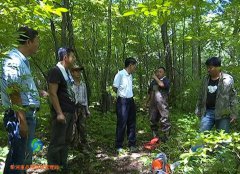 威虎山九寨景区全力做好灾后重建工作