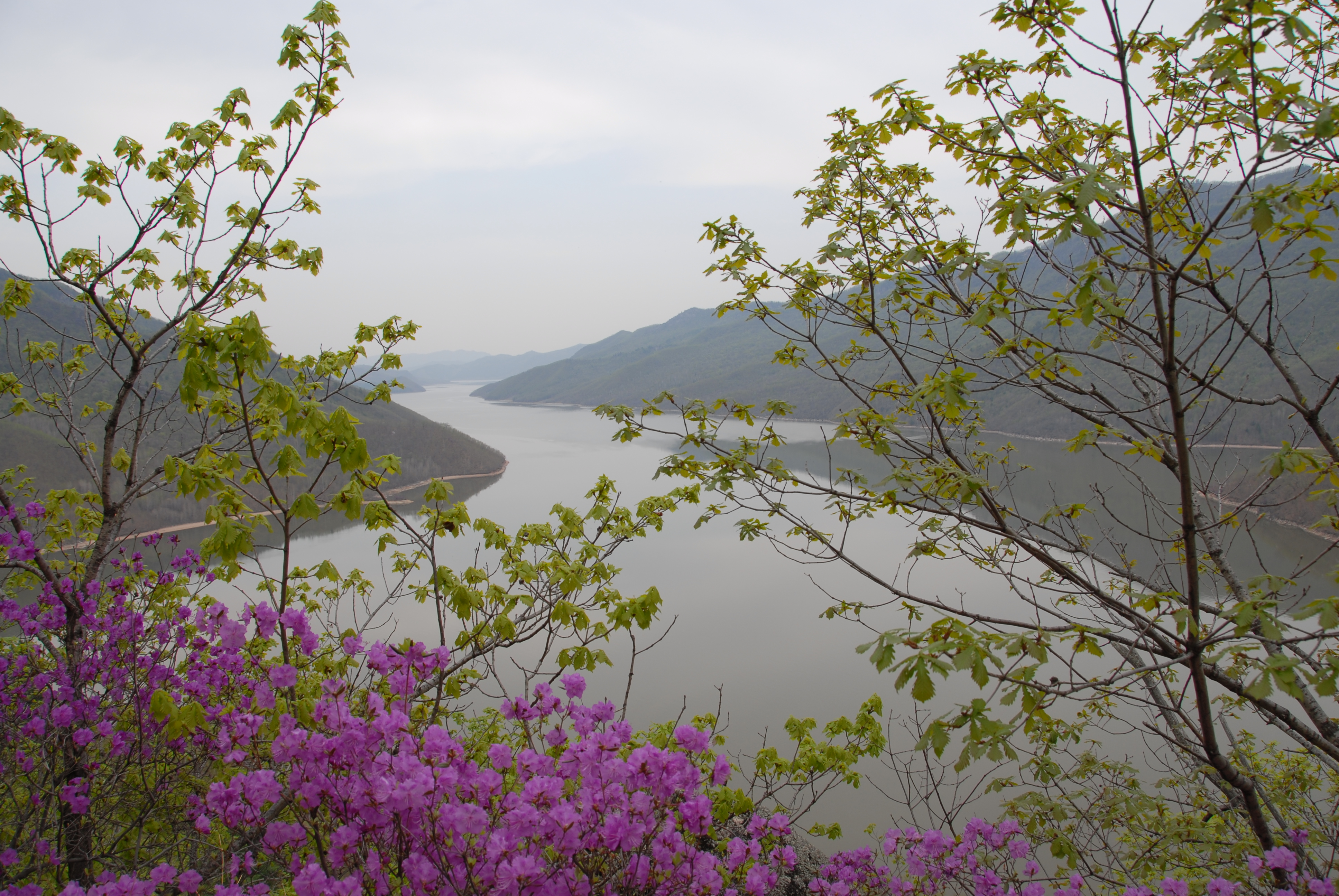 威虎山莲花湖 湖光山色