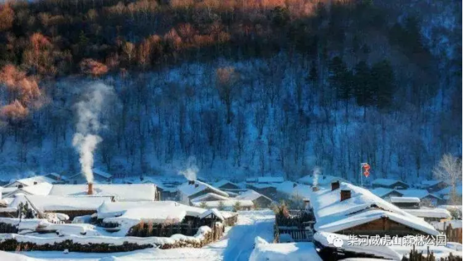 今冬，去威虎山雪村“猫冬”