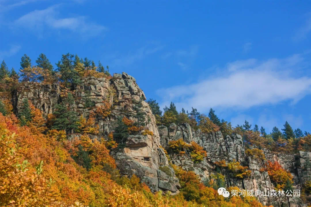 【威虎山九寨】双节福利